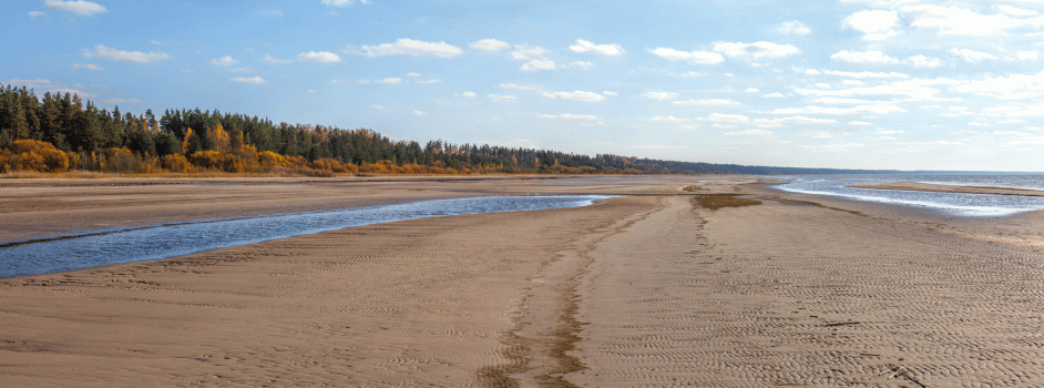 Автор: Арсений Кашкаров