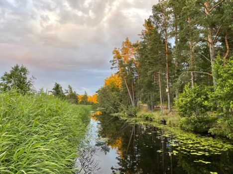 Автор: Раджана Рыгзынова